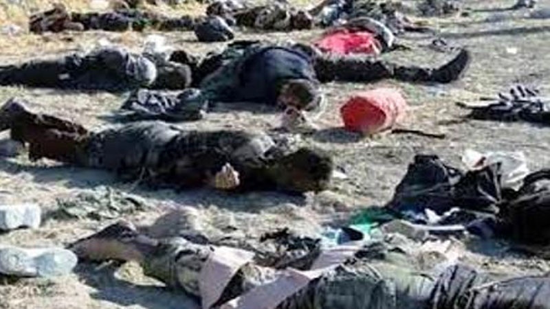 مصر، تکفیری دہشت گردوں کے خلاف فوج کا آپریشن، 15 ہلاک