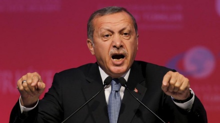 Türkiyədə bir qadın Ərdoğana hörmətsizliyə görə, 11 aylıq həbsə məhkum edilib