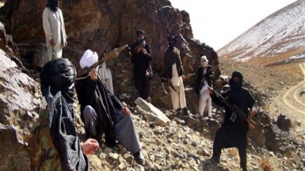 داعش اور طالبان میں جھڑپیں، 187 ہلاک  و زخمی