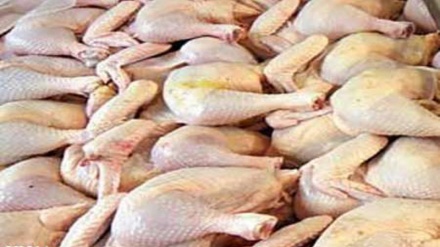 Rusija vratila desetine tona uvozne piletine iz Turske