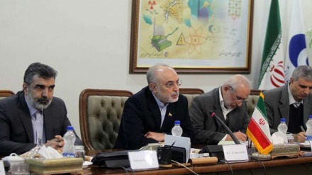 Çin Atom Enerjisi Agentliyinin sədri Salehi ilə görüşüb