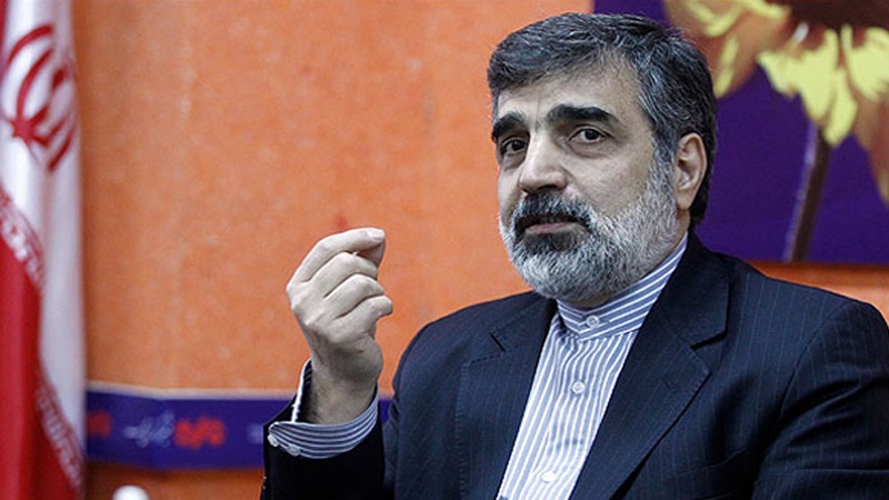 اسلامی جمہوریہ ایران کے ایٹمی ادارے کے ترجمان، بہروز کمال وندی