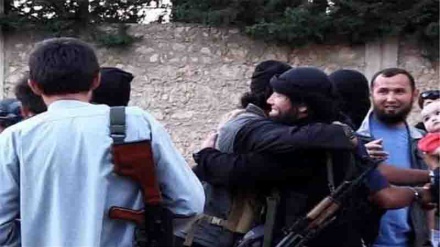 500 Qırğızıstan vətəndaşı İŞİD-ə qoşulub