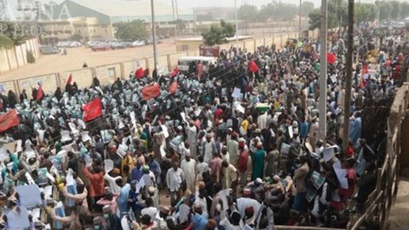 نائیجیریا، آیت اللہ الزکزاکی کی حمایت میں مظاہروں کا سلسلہ بدستور جاری