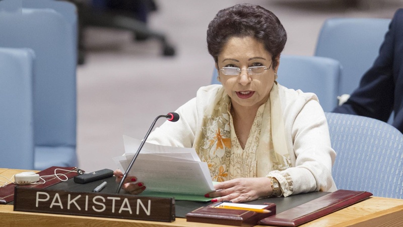 پاکستان کی عالمی برادری سے مسئلہ کشمیر حل کرانے کی اپیل 
