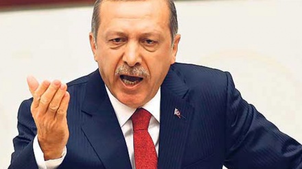 Ərdoğan İŞİD-lə mübarizə beynəlxalq koalisiyasını suçladı