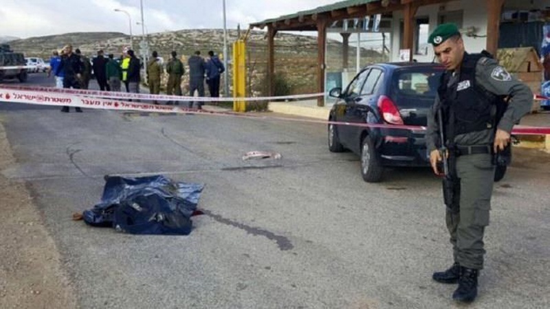Sionist hərbçilərin atəş açması nəticəsində fələstinli qız şəhid oldu