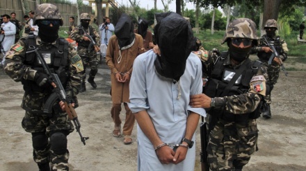پاکستان: پشاور میں دسیوں مشتبہ دہشت گرد گرفتار