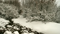 سروشتی جووانی زستان له پارێزگای ئه‌رده‌بیل