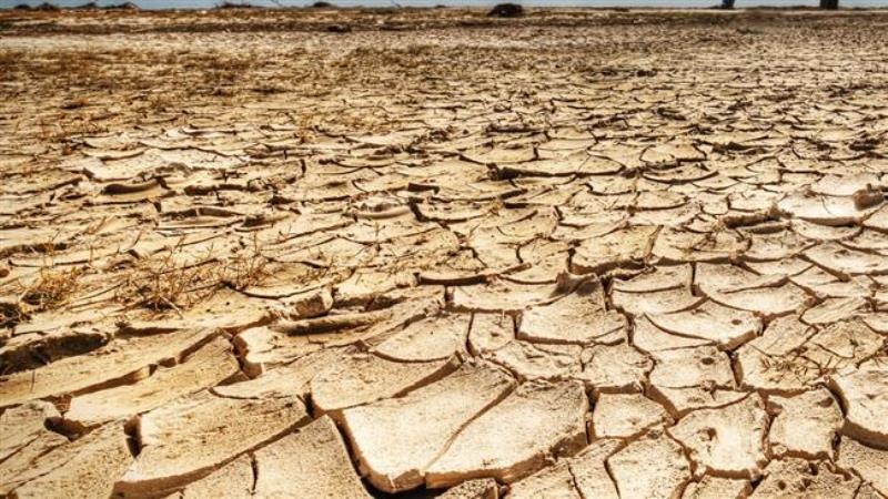 سعودی عرب میں پانی کی شدید قلت