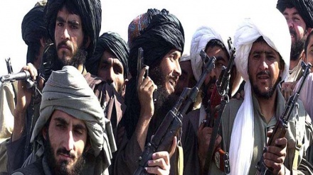 طالبان کی امریکہ اور افغان حکومت کے ساتھ مذاکرات کی پیشکش