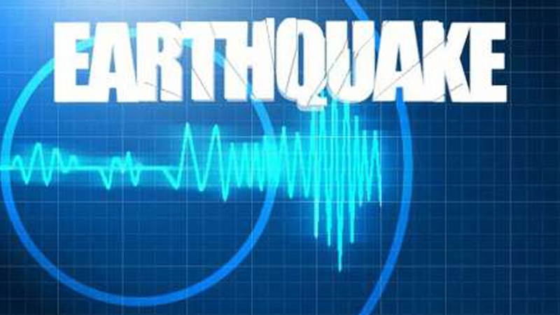 ایران میں زلزلہ، 133 افراد زخمی