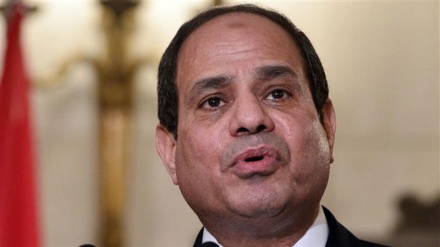 طیارہ حادثے میں کسی امکان کو بھی مسترد نہیں کیا جاسکتا، مصری صدر
