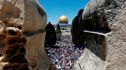 مسئلہ فلسطین سیکیورٹی کونسل کی ترجیحات میں شامل نہیں