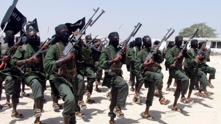 صومالیہ میں 87 دہشت گرد ہلاک