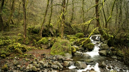 Pođite sa nama u Iran (08.03.2016)