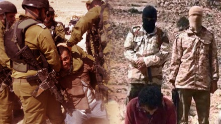 Krađa ljudskih organa, zajedničko djelo DAIŠ-a i cionista