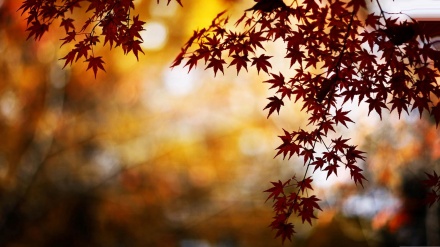 Poštovanje prirode, poštovanje života (19.03.2015)