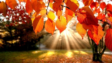 Poštovanje prirode, poštovanje života (13.03.2015)