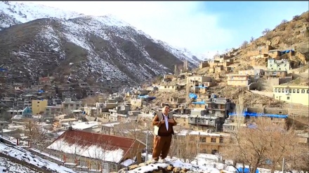 هامنۆهەورامی  - کلیپی نوێ،گۆرانی هەورامانەکەم