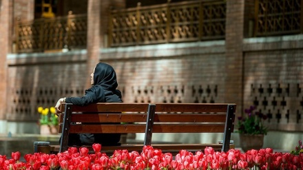 Teheran, lale u parku Iranskog vrsta