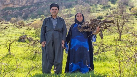 Bi wêne: Çand û jiyana kurdên Iraqê