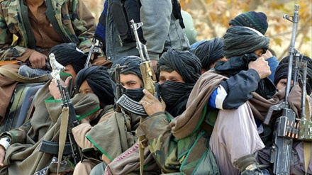 افغانستان: صوبہ قندھار میں پینتالیس طالبان ہلاک اور زخمی