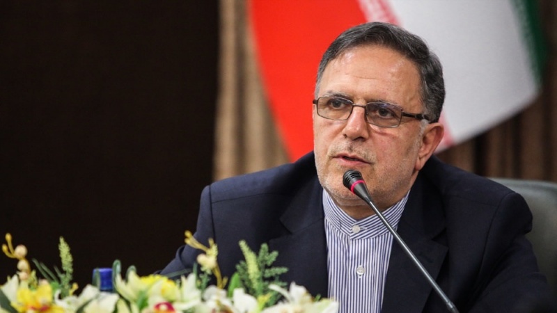 امریکہ میں ایران کے اثاثے ضبط کرنا غیرقانونی ہے: ولی اللہ سیف