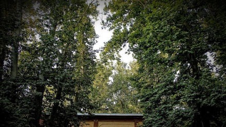 Iranski vrt (27.03.2016)