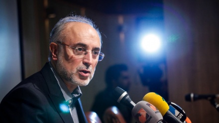 Salehi: İran qüdrətlə öz nüvə haqqını müdafiə edəcək