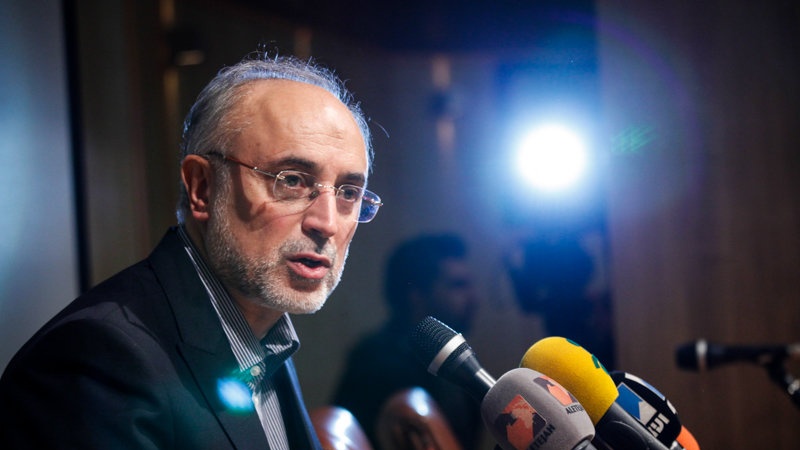 Salehi: İran qüdrətlə öz nüvə haqqını müdafiə edəcək