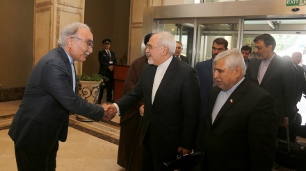 Zərif İranın qonşularla həmkarlığının genişlənməsini vurğulayıb