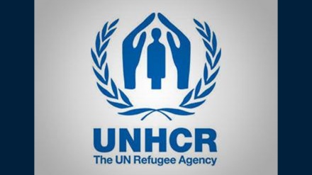 BMT baş komissarı Trampın göstərişini tənqid edib