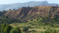 شارە جوانەکانی ئێران