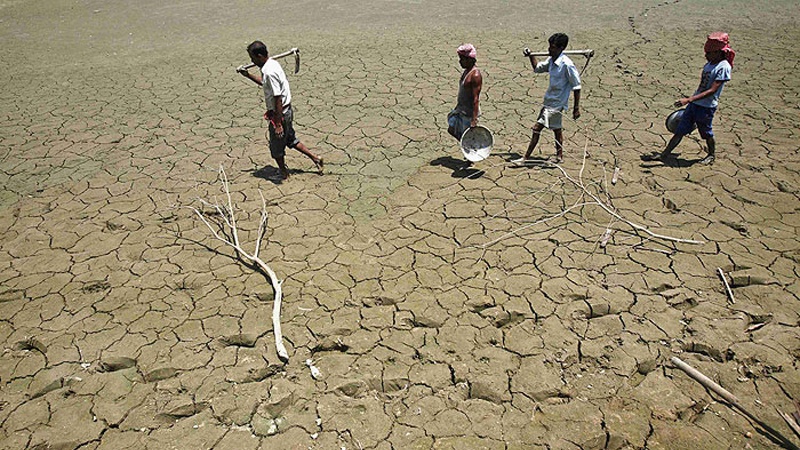 ہندوستانی کسان اپنے مویشی انتہائی کم قیمت پر بیچ کر شہروں کا رخ کر رہے ہیں۔