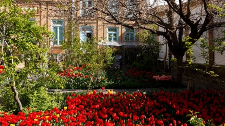 Iranski vrt (10.04.2016)