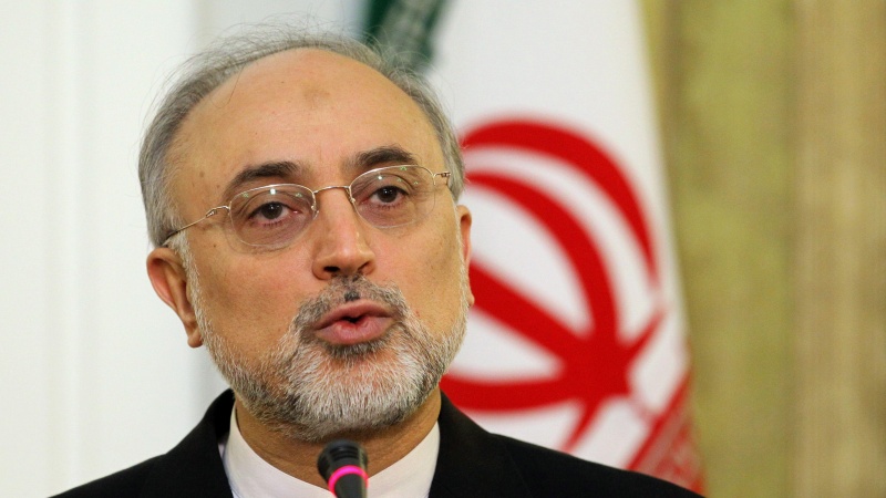   ایران اور یورپ کے درمیان ایٹمی تعاون فردو ایٹمی سائٹ سے شروع ہو سکتا ہے:علی اکبر صالحی