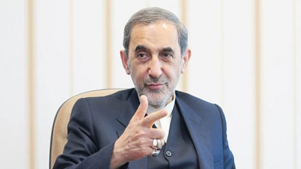 مزاحمت، علاقے میں اسرائیلی سازشوں کے مقابلے میں مستحکم محاذ