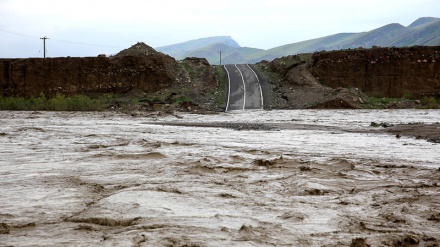لافاوێکی سەیر و سەمەرە لە ئێران