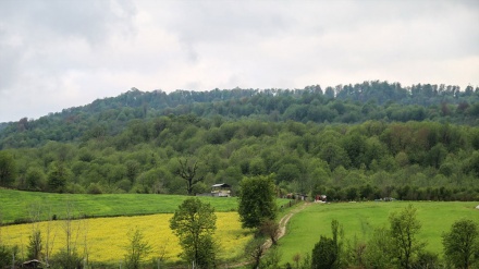 سرووشتی بەهاری شاری ساری - ئێران