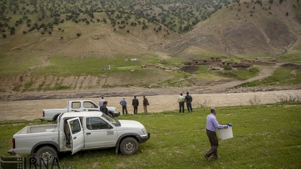 فوٹو گیلری