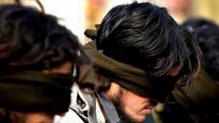 تکفیری دہشت گرد گروہ لشکر جھنگوی کے 5 دہشت گرد گرفتار
