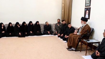 رہبر انقلاب اسلامی سے شہید بدر الدین کے اہل خانہ کی ملاقات