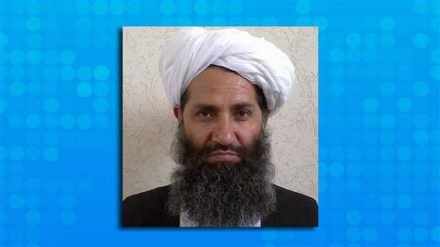   طالبان کے سربراہ کا پیغام 