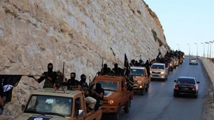 دہشت گروہ داعش ایک شکست خوردہ مہرہ 