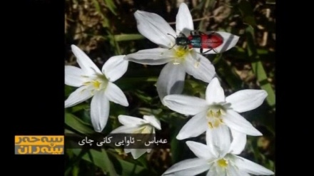 گۆشەی خۆتان 22-05-2016