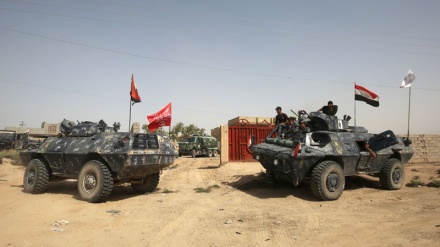 Fəllucə azadlıq ərəfəsində