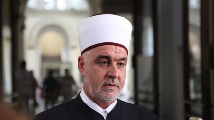 Reisu-l-ulema IZ u BiH neće učestvovati na Evropskom samitu o islamofobiji 
