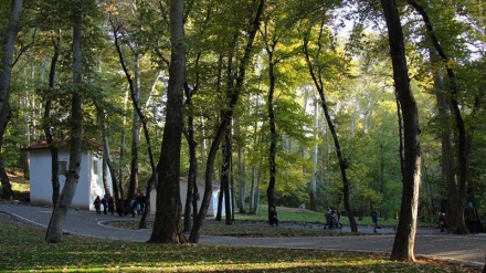 گۆرانی کوردی ئاوات