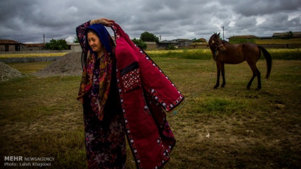 هۆز و طایفه‌کانی ئێران